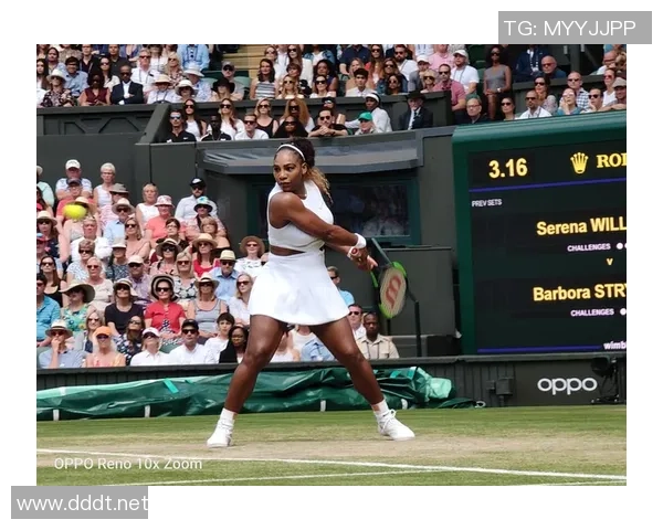 上海网球队的转型之路：深度解析网球运动的变革与发展