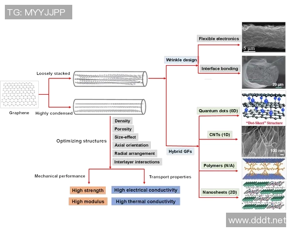 杭州羽毛球队状态分析与未来发展展望的深度探讨