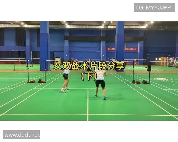 武汉排球队的默契配合与战术协同探讨